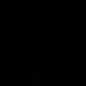 Meet your Posher, Naomi